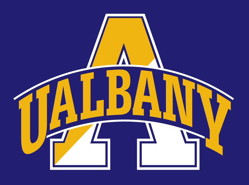 Albany Great Danes 2004-Pres Alternate Logo v3 DIY iron on transfer (heat transfer)